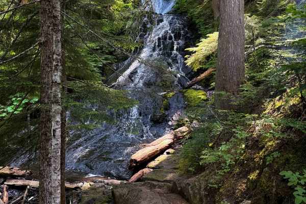 Big Creek Trail 252