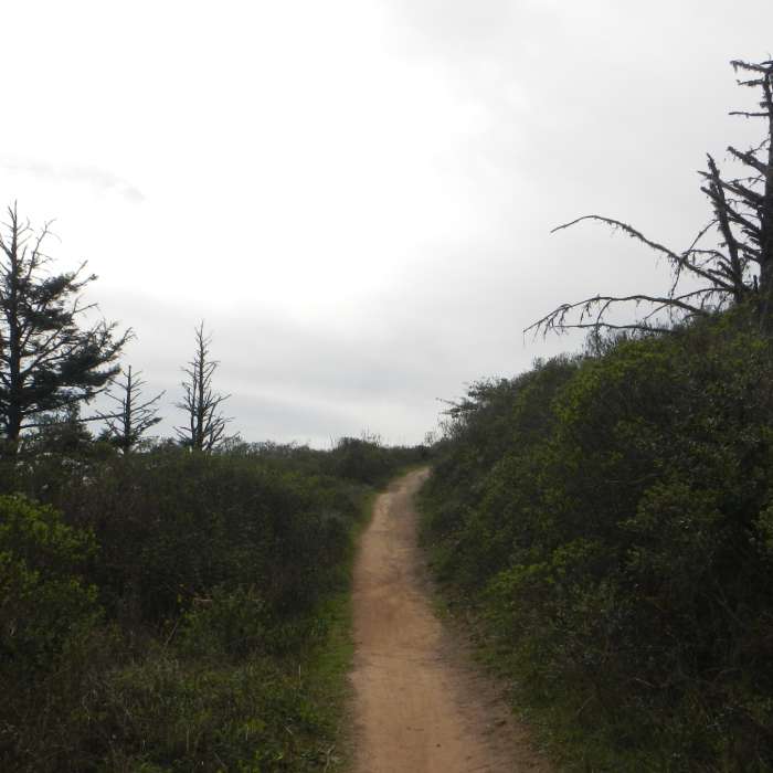 Near Dias Ridge Trail