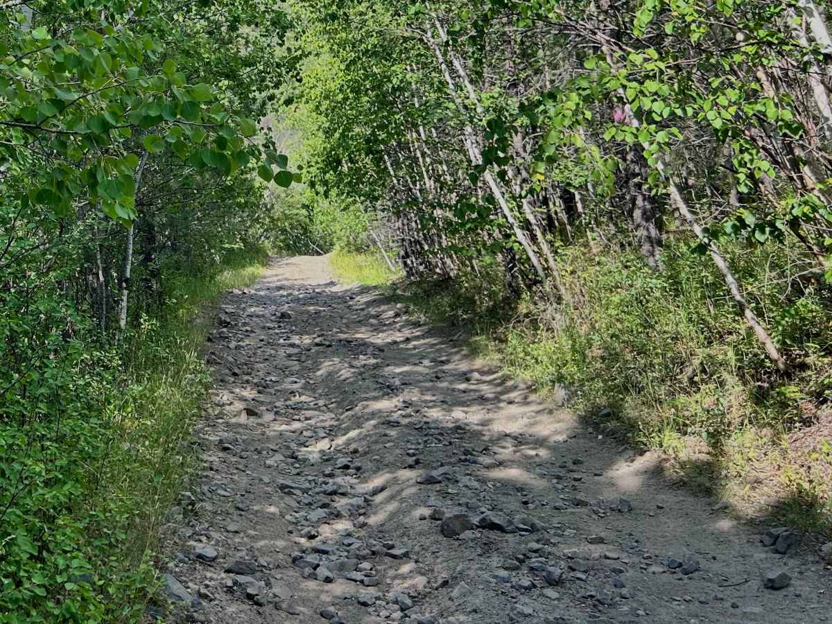 Ruby Gulch Branch - FS 738  trail photo