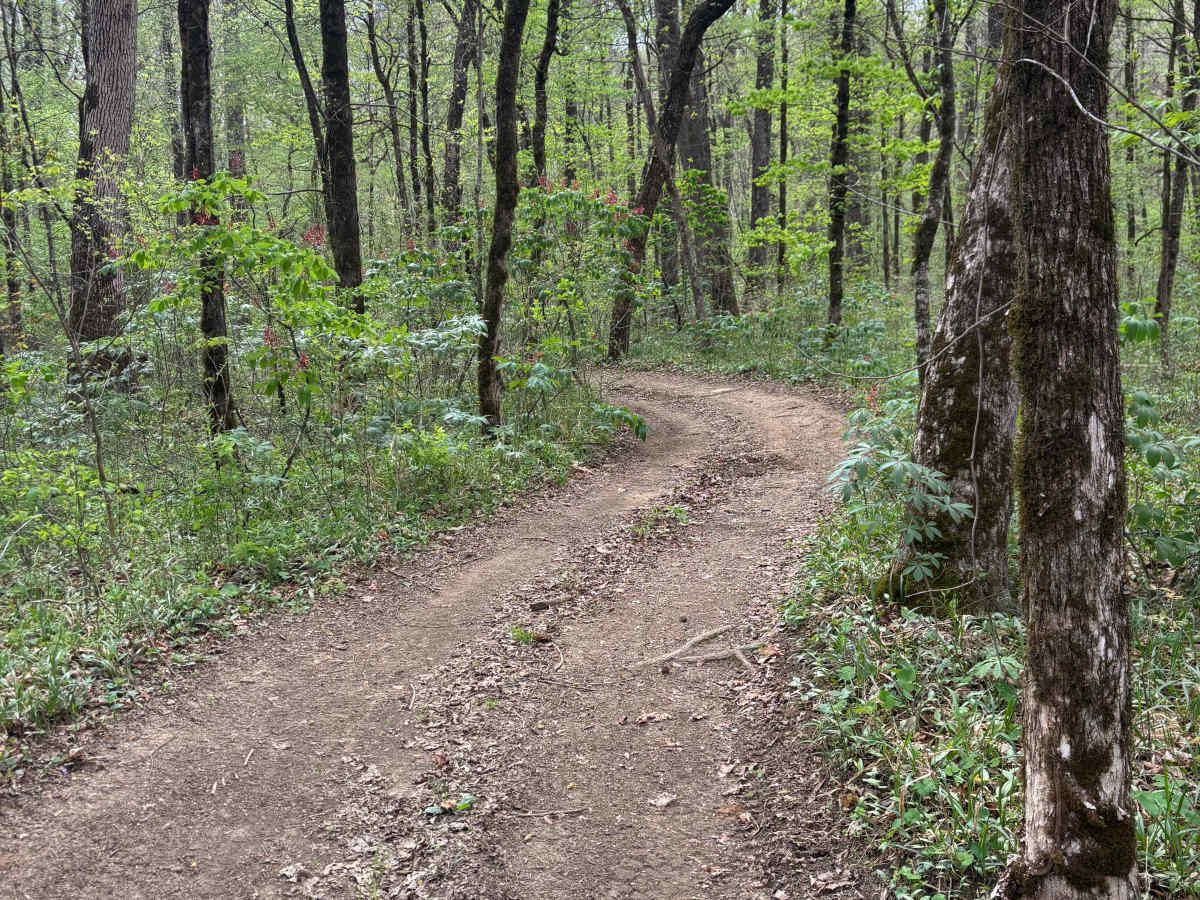 Brock Creek photo 6