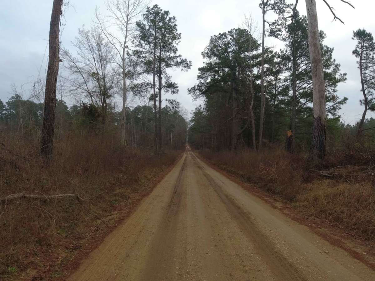Davy Crockett National Forest Route photo 2