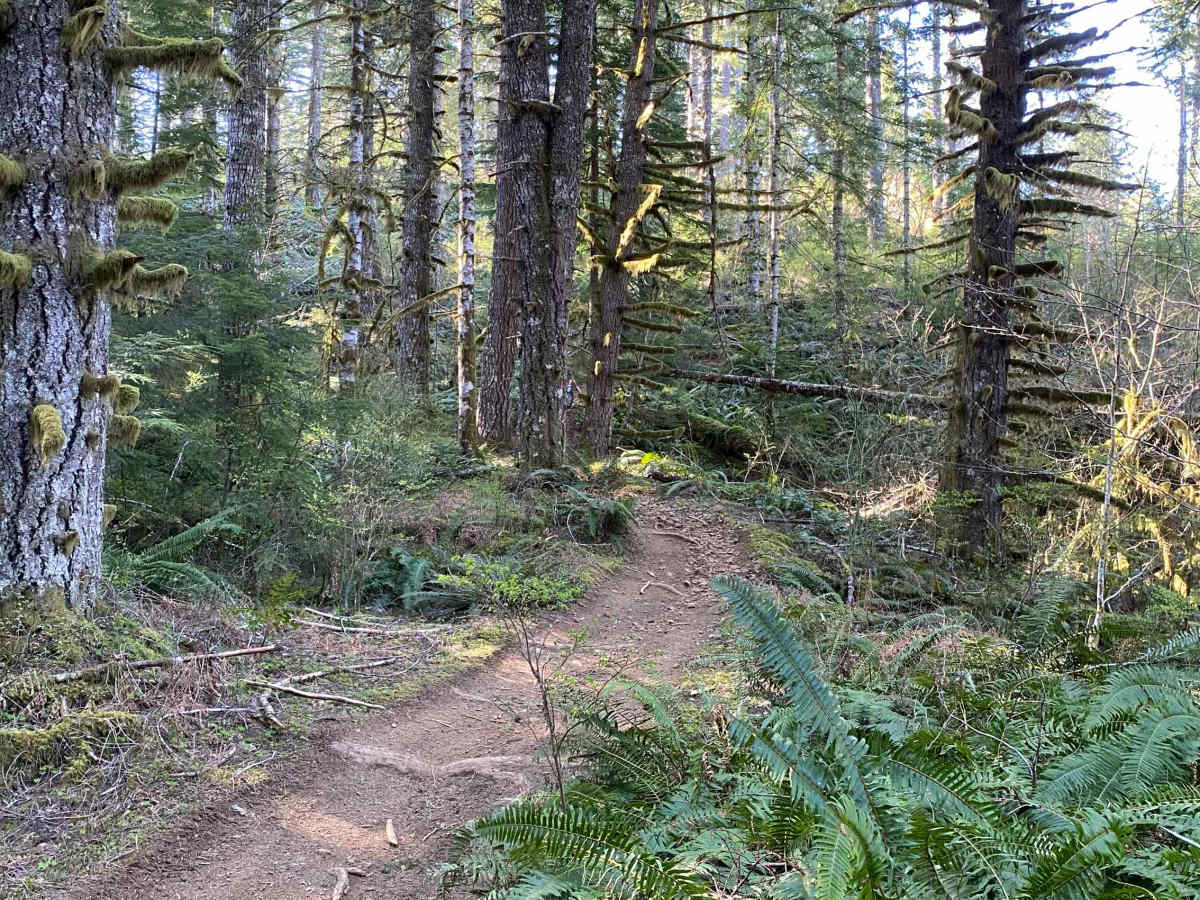 Trail 21 The Chute photo 6