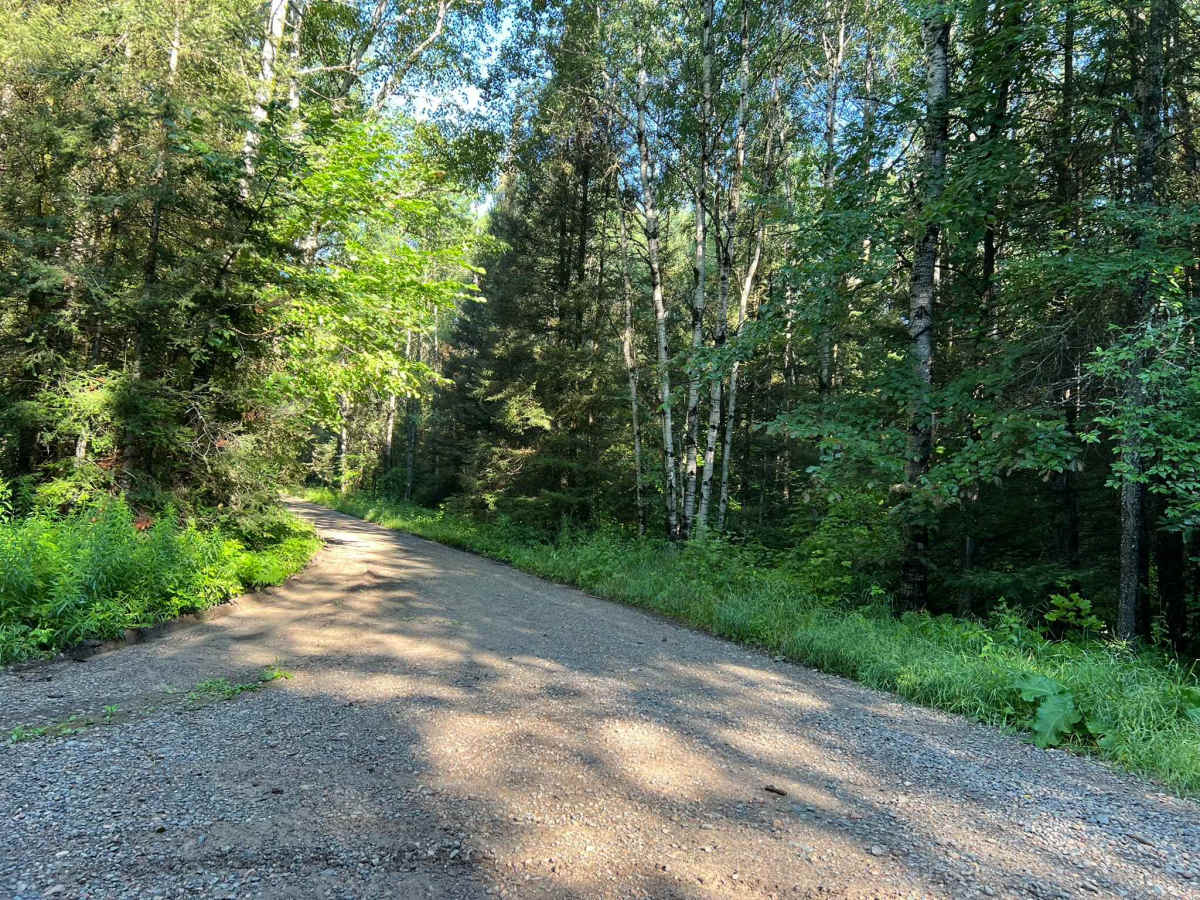 Dead Mans Road - FS 2832 trail photo
