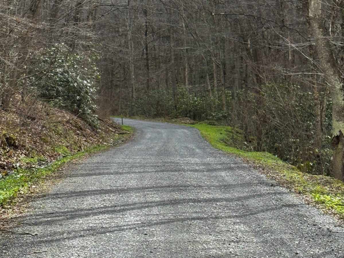 Orviston Mountain Road photo 4
