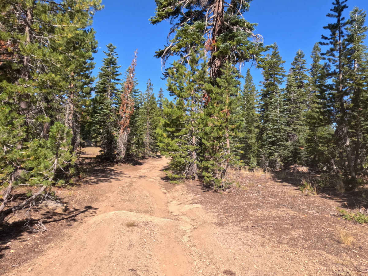 Burnside Lake - FS 31205 photo 4