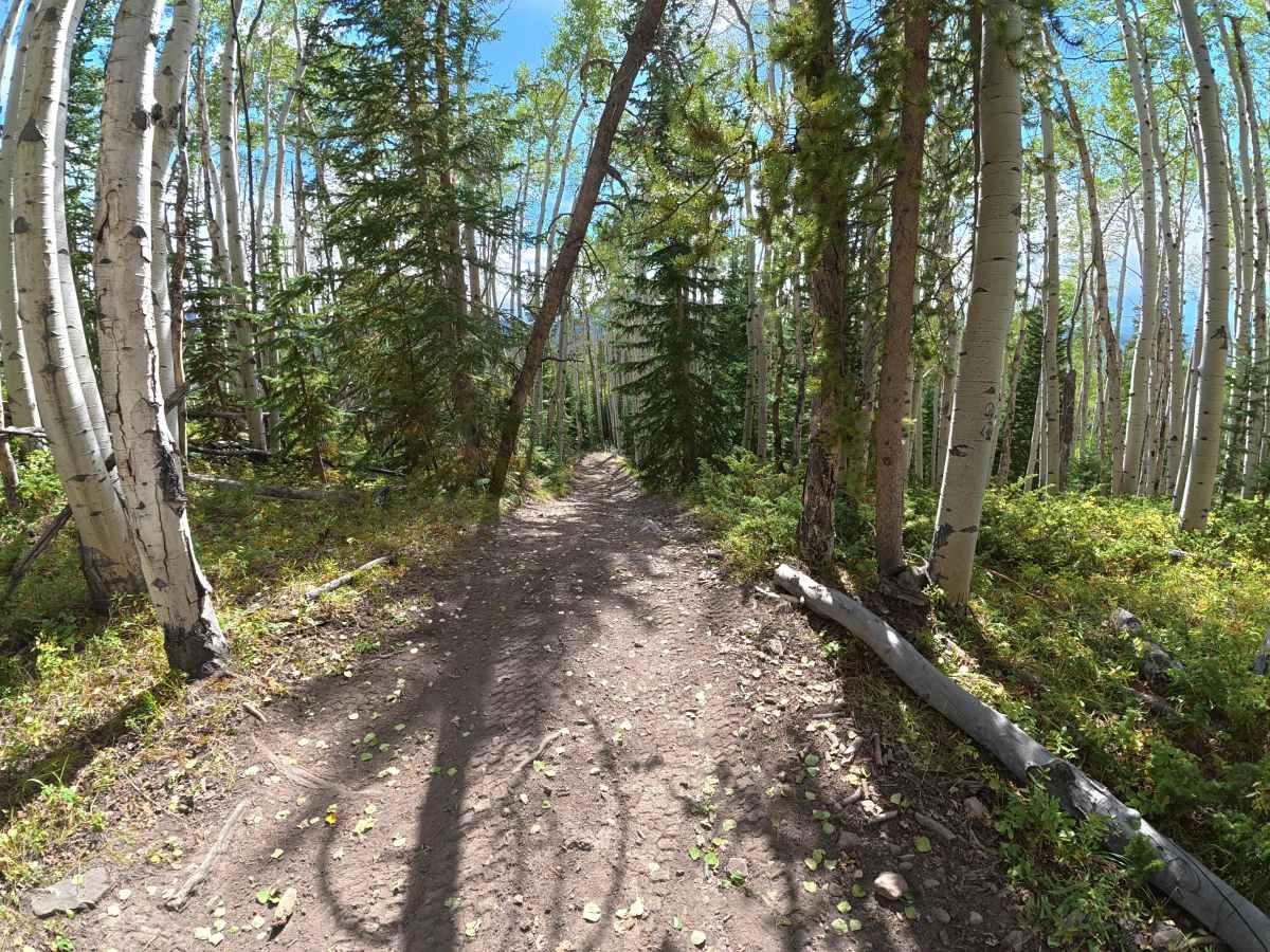 Beaver Lake Road photo 5