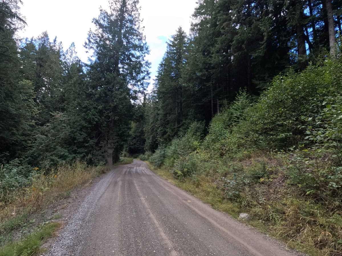 Best Chance Road photo 5