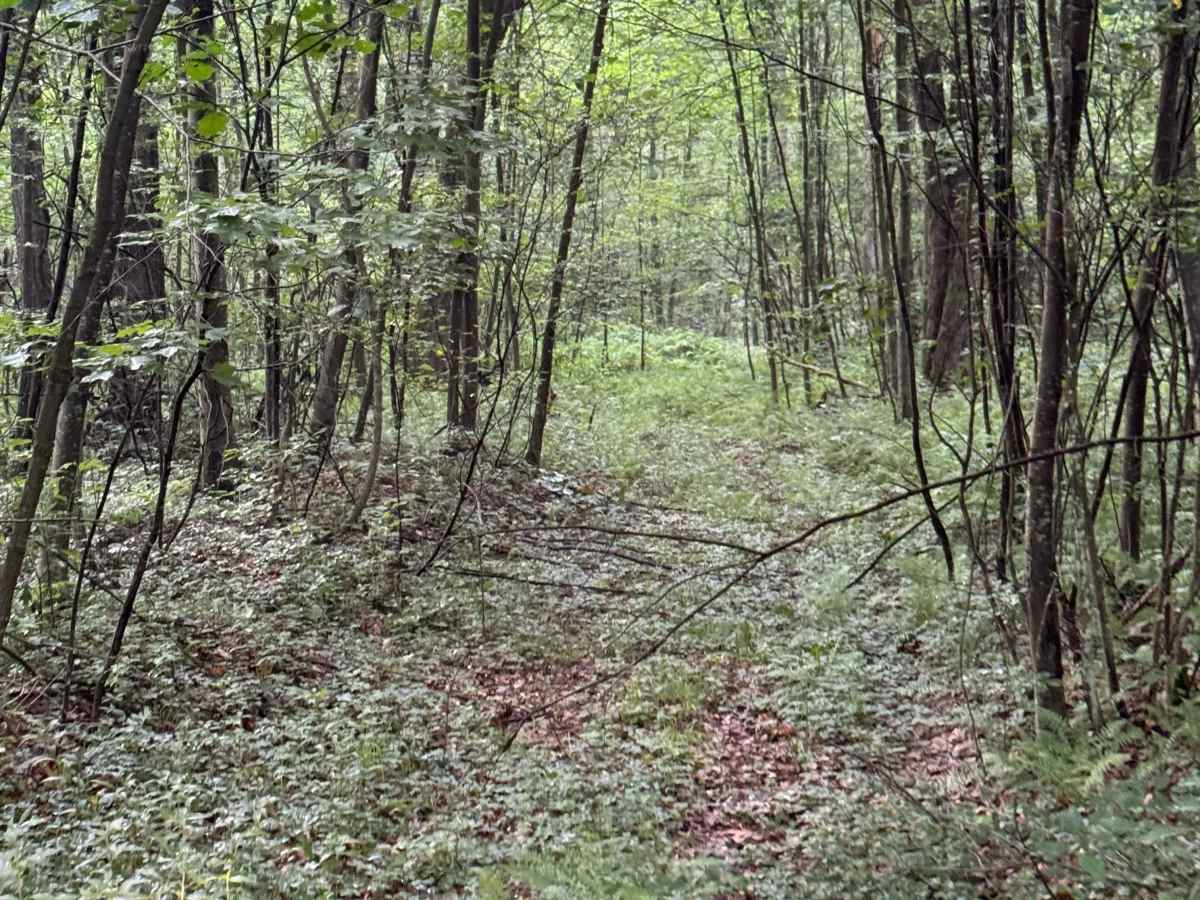 Trail 51 photo 3