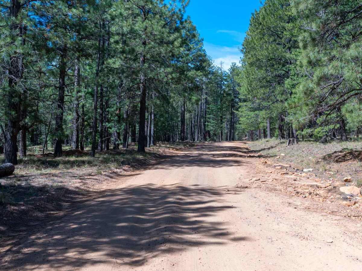 Knoll Lake - FS 295E photo 6