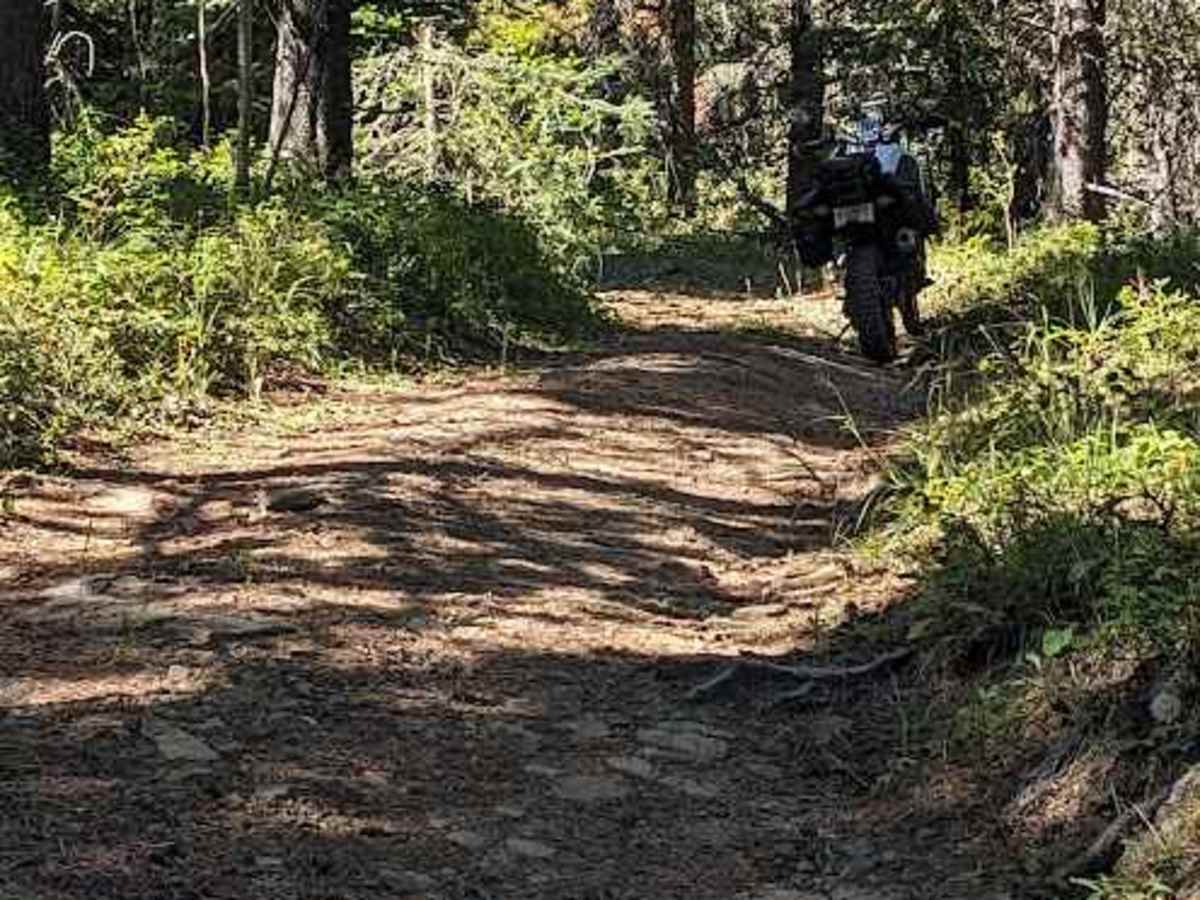Porcupine Hills Trail 46 photo 2