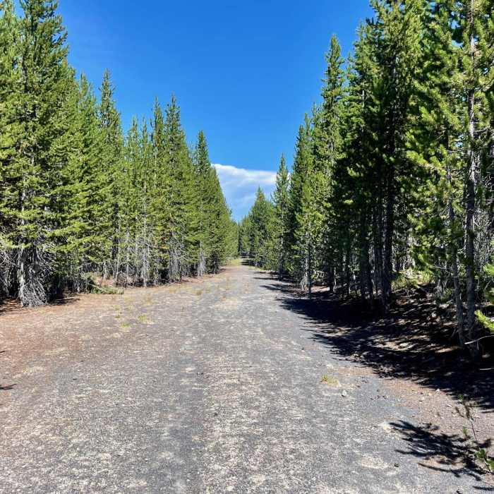 Near Continental Divide Trail: Montana-Idaho Section 1