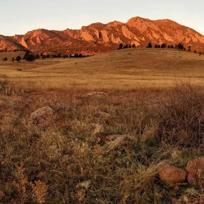 Near South Boulder Creek West