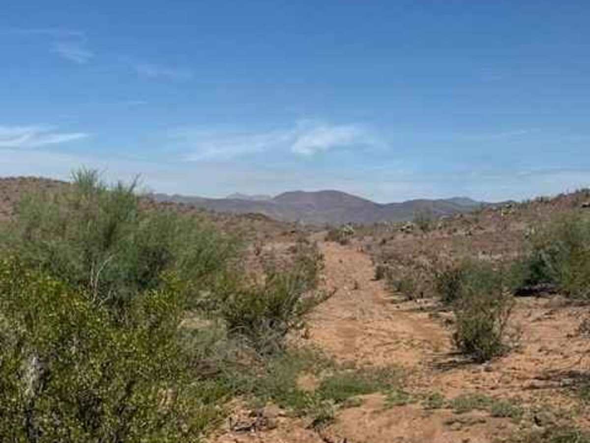 BLM PE1031 photo 2