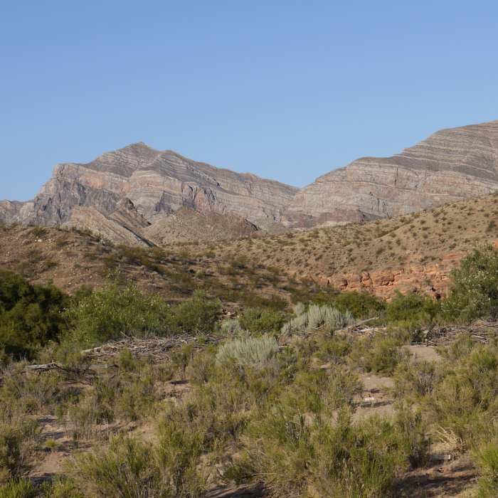 Near Sullivan Canyon Trail