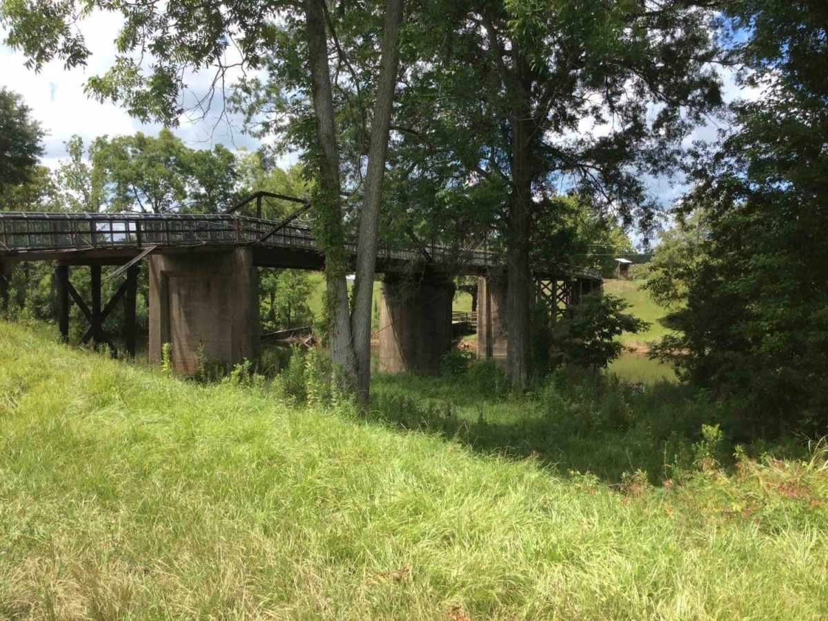 Grassy Lakes Wildlife Management Area (WMA) South Trail photo 6