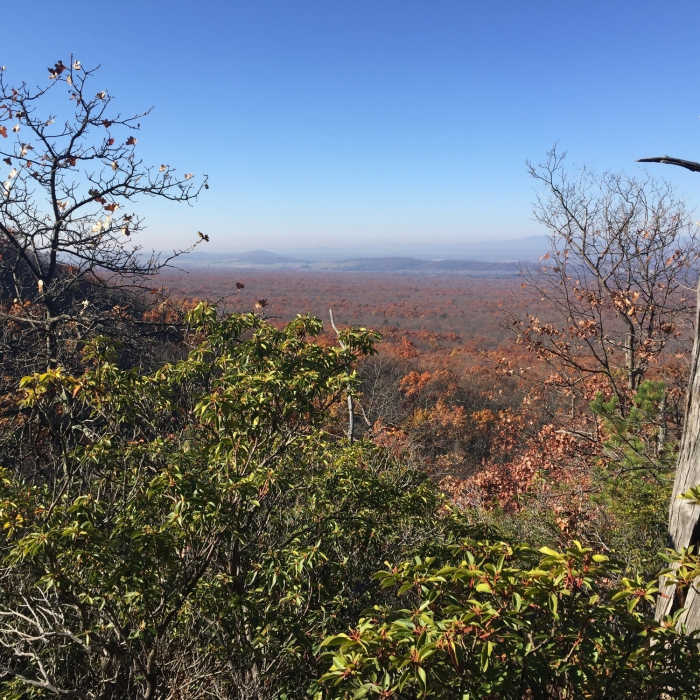 Near Furnace Mountain Trail