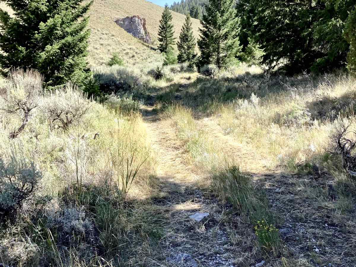 Van Dorn Spur trail photo
