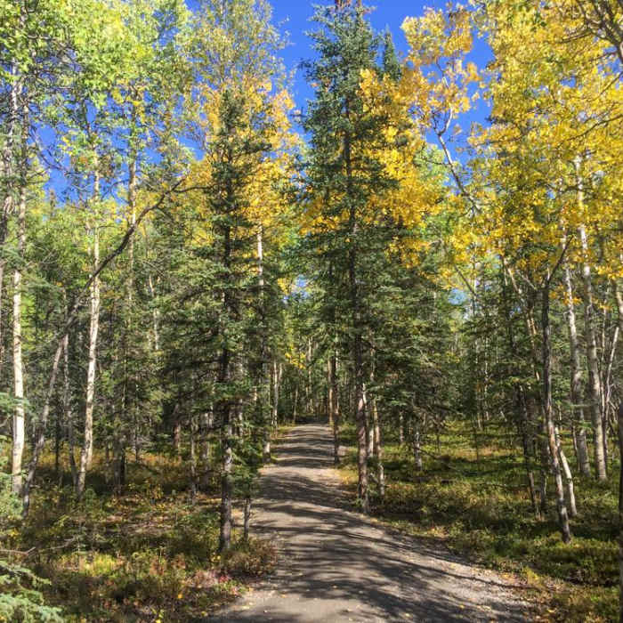 Near Mt. Healy Overlook Trail Near Mt. Healy Overlook Trail