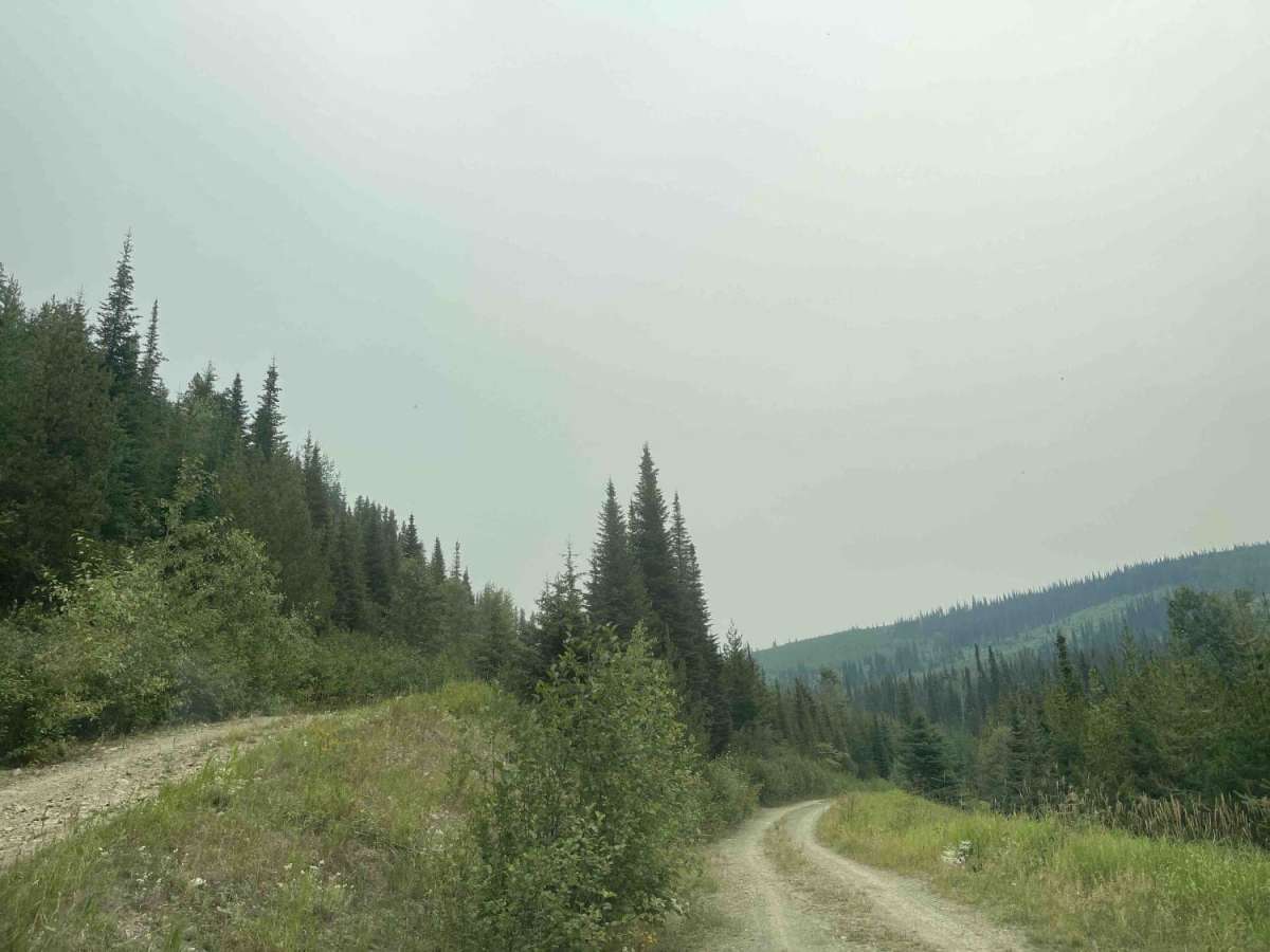 Eureka Road photo 2