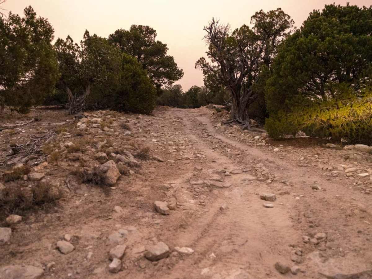 Post Road Trail photo 4