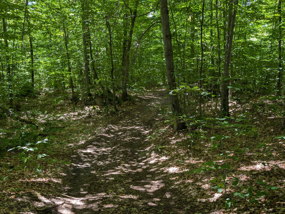 Grass River Trail Connector  photo 6