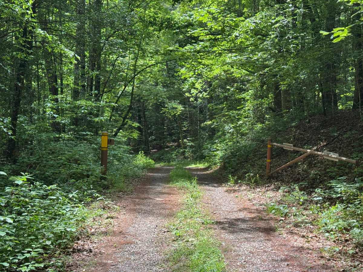 Chambers Creek - FS 2071 photo 3