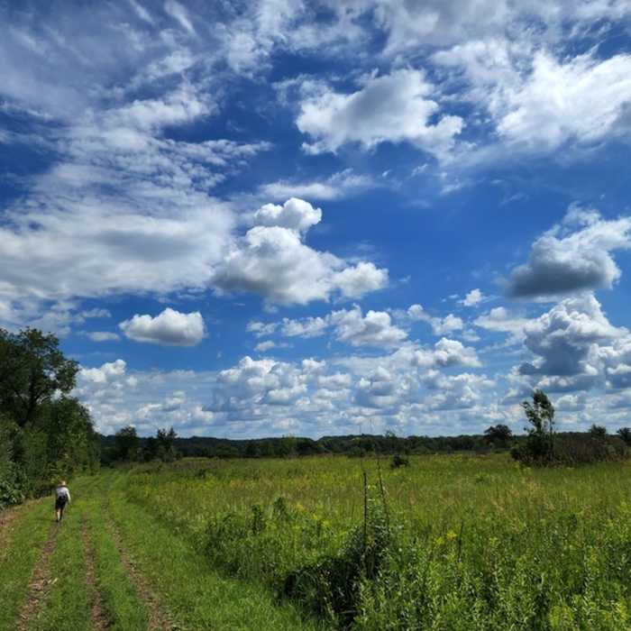 Going east toward the trailhead on the State Trail Access Trail. Near Louisville Swamp 3-Mile Loop