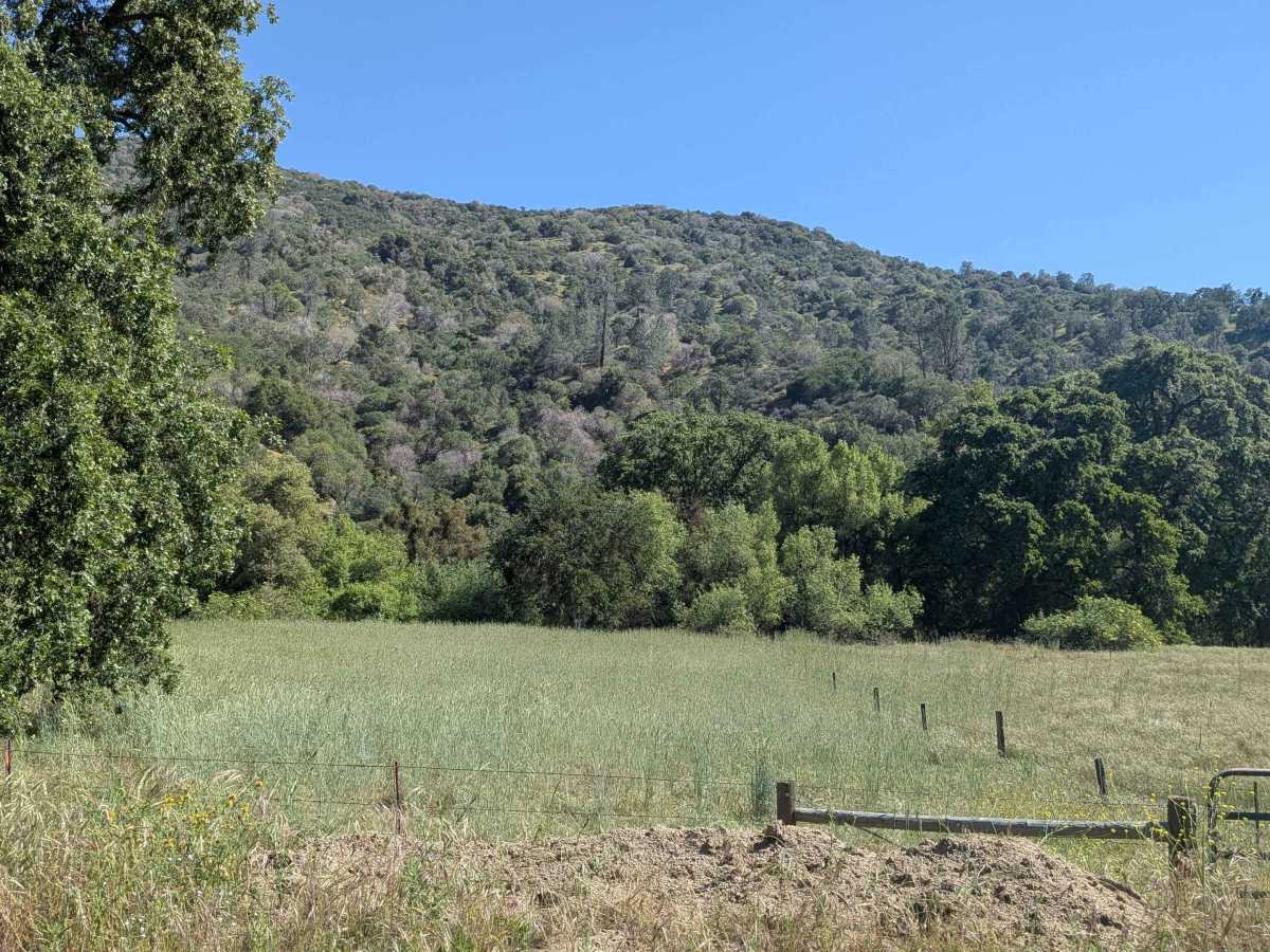 Coffee Creek Road photo 6
