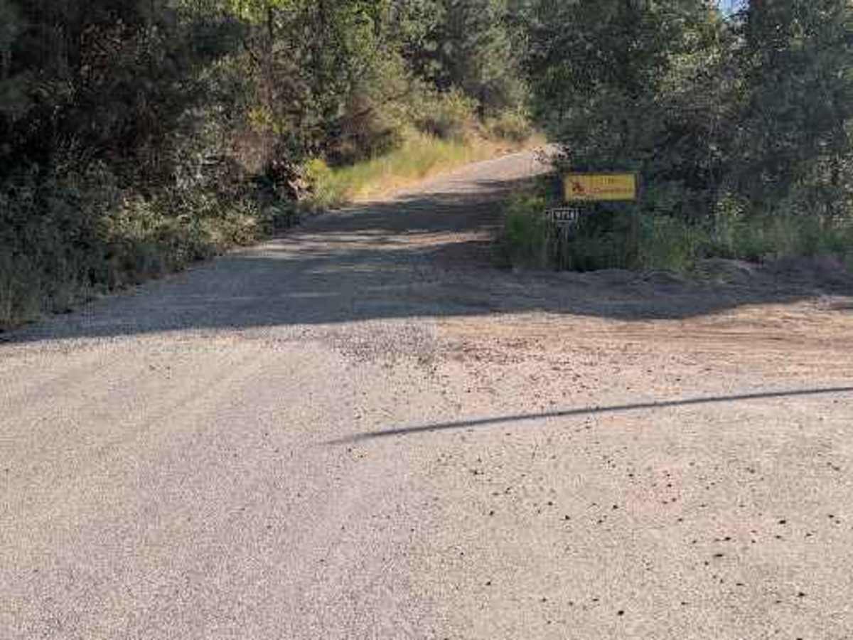 Forest Road 9718 photo 2