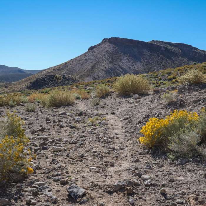 Near Goldfield Scenic Overlook Trail