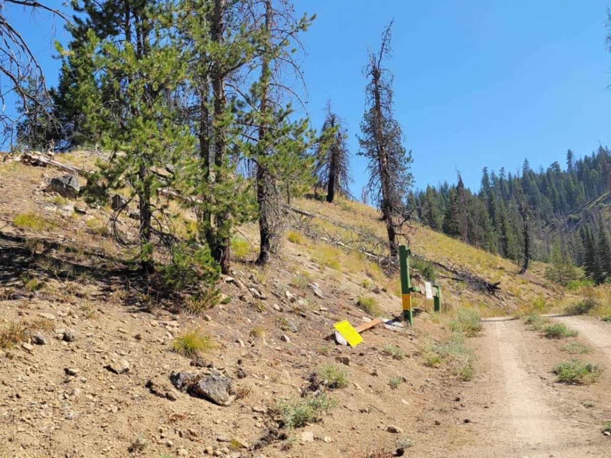 Skyline Trail photo 5