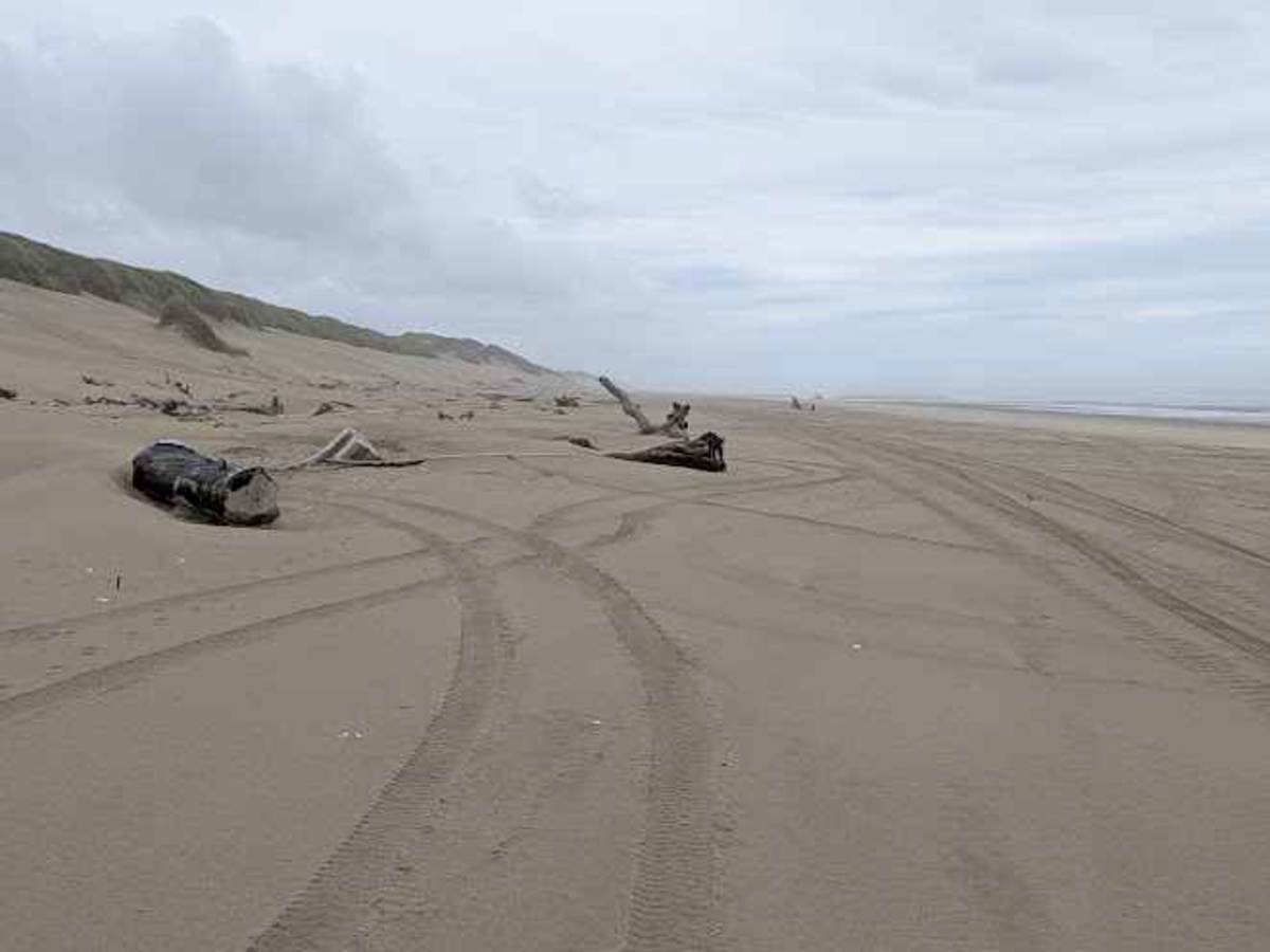 South Jetty Open Beach photo 6