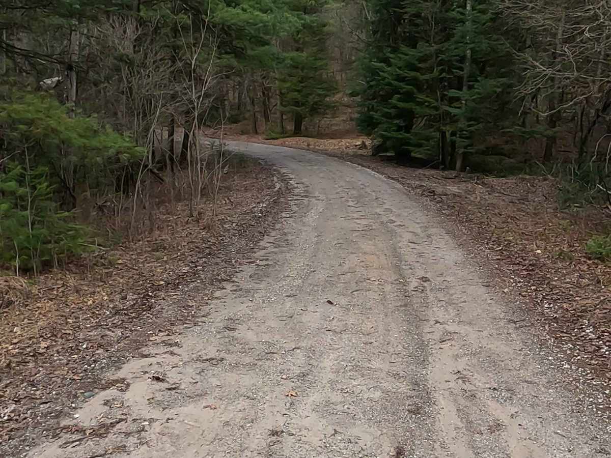 Wilcox Drive - FS 4093 photo 2