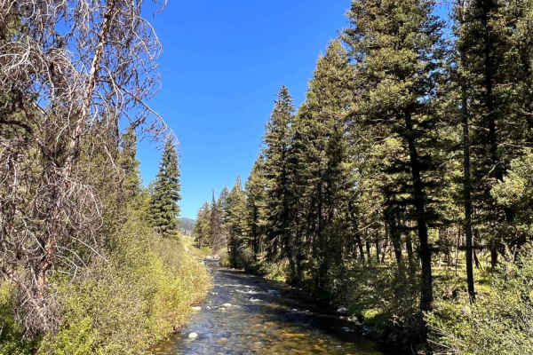 Swift Creek Trailhead