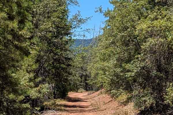 Pit River Rim - FS 36N20
