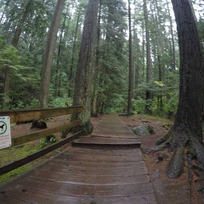 Near Centennial Trail
