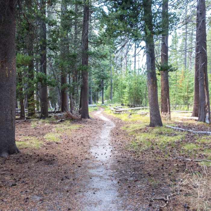 Near Glen Aulin High Sierra Camp to Waterwheel Falls Near Glen Aulin High Sierra Camp to Waterwheel Falls