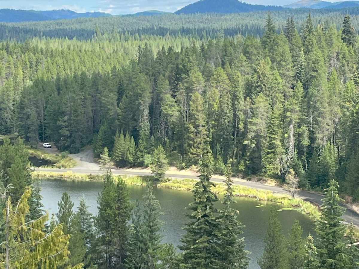 Lake Overlook Track trail photo