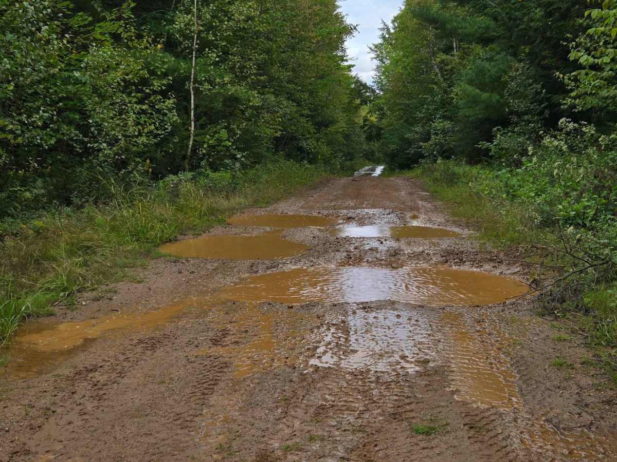 Shaw Road photo 6