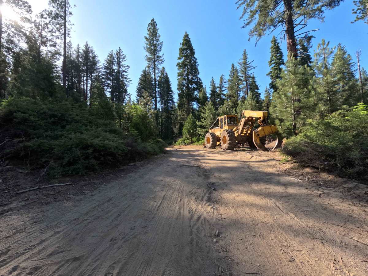 FS 4N98 trail photo