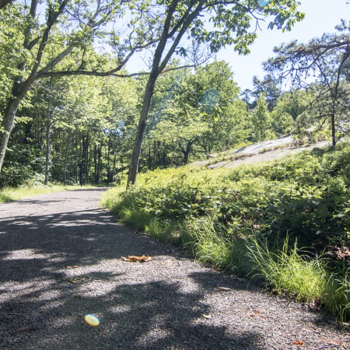 Near Millbrook Mountain + Gertrude's Nose