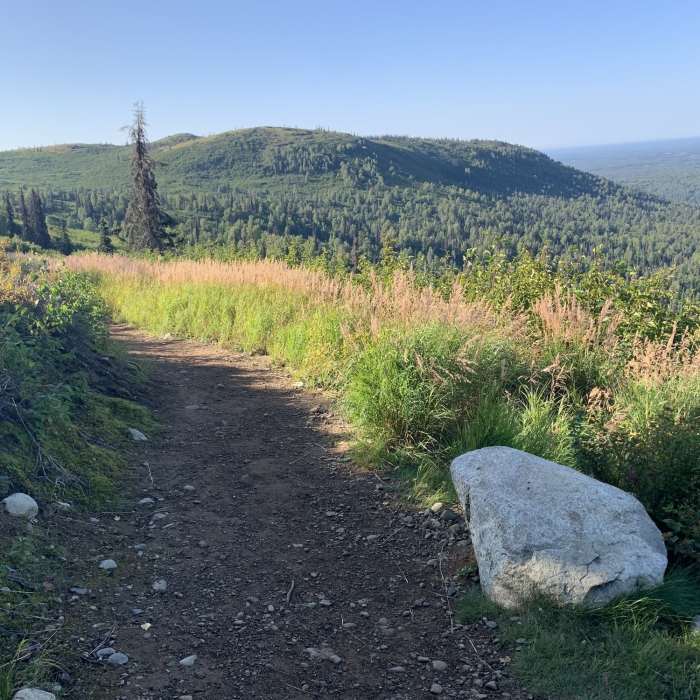 Near Original Trail up K'esugi Ken Curry Ridge Trail