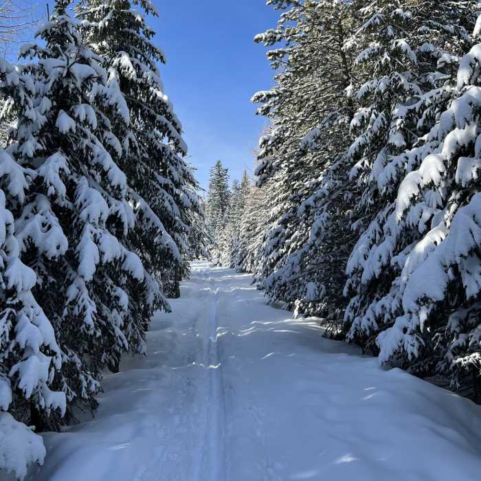 Near Red Fox Racetrack