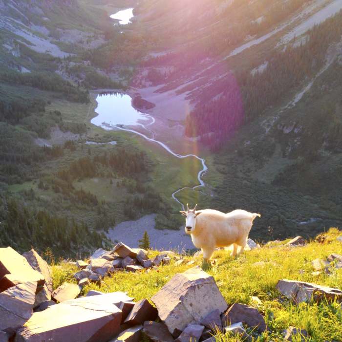 Near North Maroon Peak