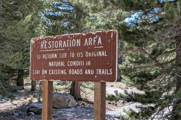 Deadman Creek Road FS32E03-SNO