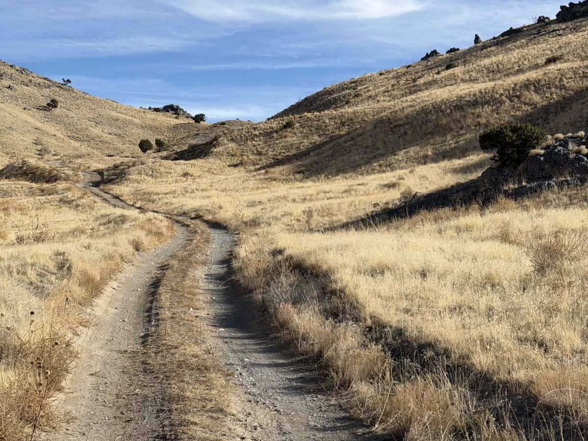 Monarch Canyon photo 4
