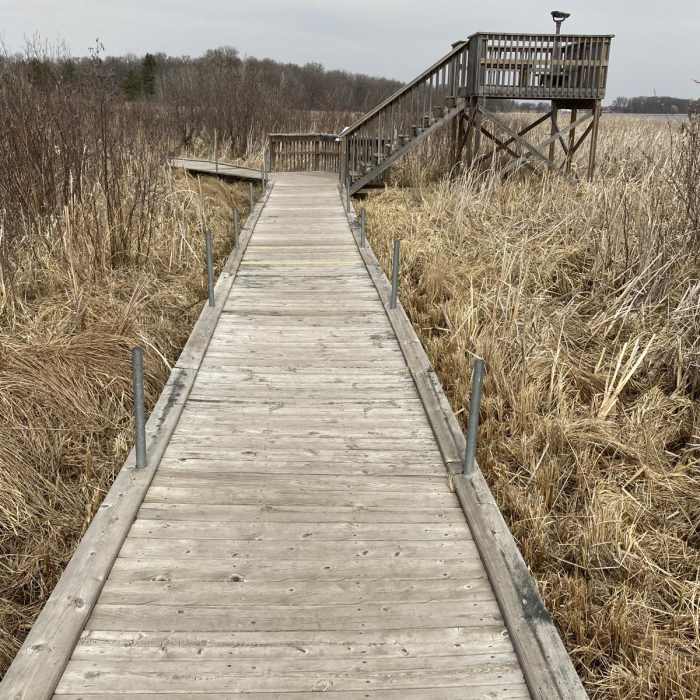 Near Wetlands Loop Trail Near Wetlands Loop Trail