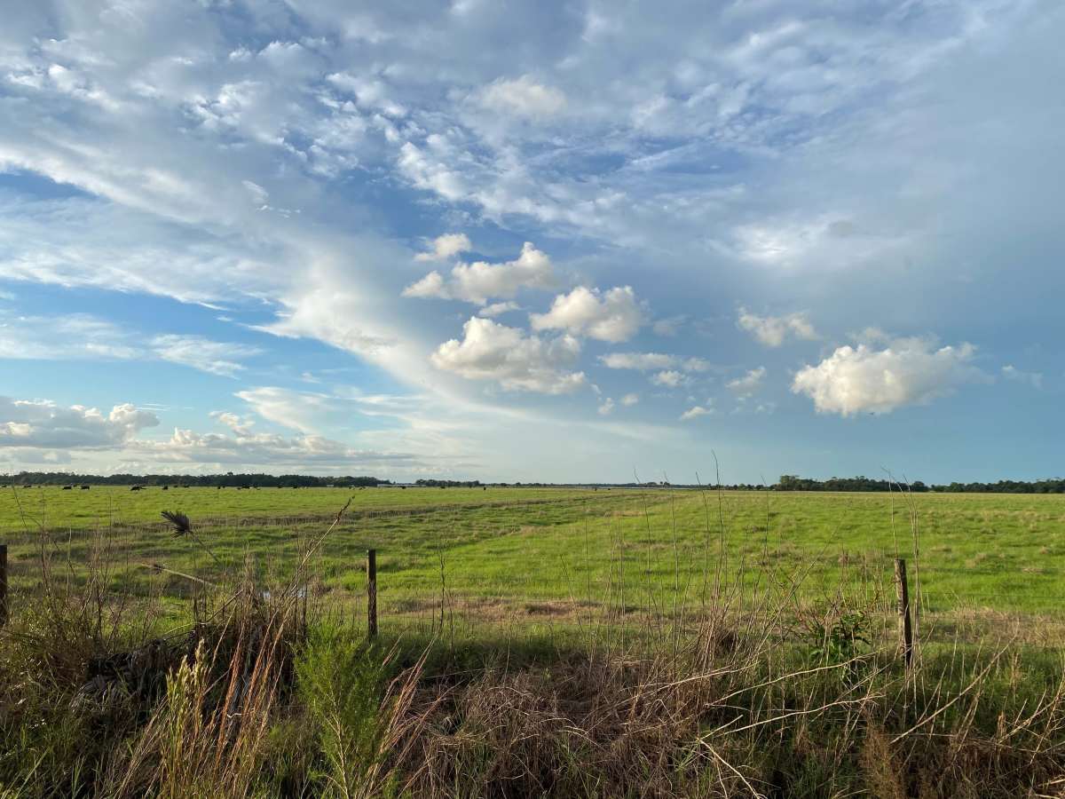 Prairie Creek Preserve photo 6