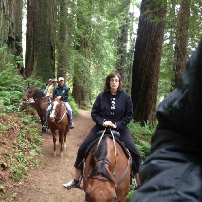 Near Orick Horse Trail