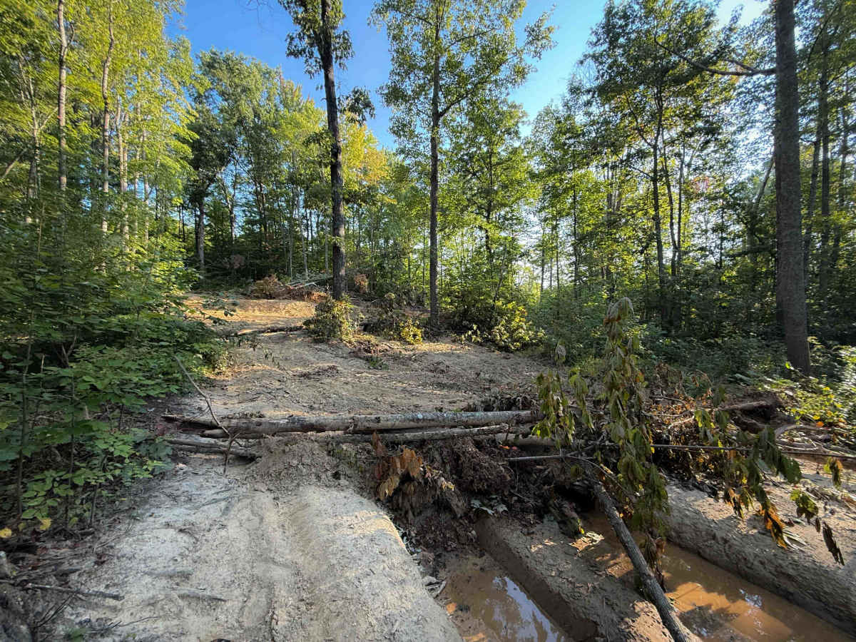 Ivydell Trail photo 2